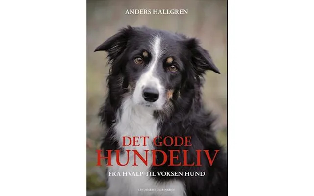'det Gode Hundeliv' - Brugt Bog