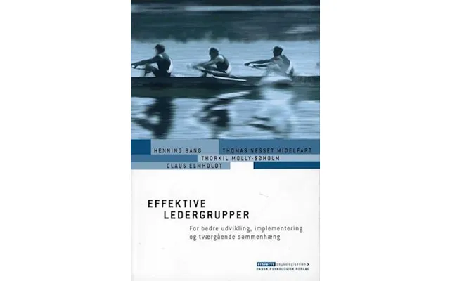 'effektive Ledergrupper' - Brugt Bog