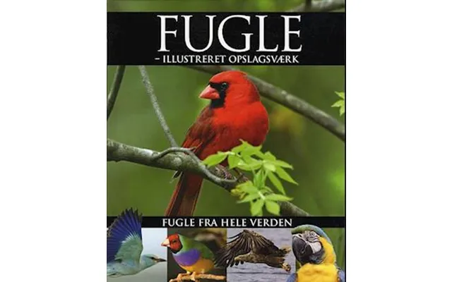 'fugle' - Brugt Bog