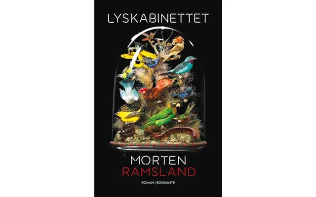 'lyskabinettet' - Brugt Bog