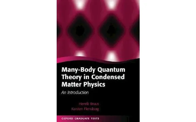 'many-body Quantum Theory In Condensed Matter Physics' - Brugt Bog