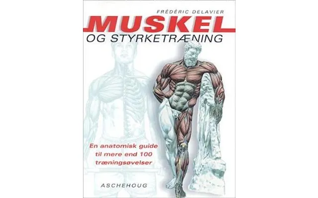 'muskel- Og Styrketræning' - Brugt Bog