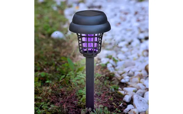 Myg-drab Solar Have Lampe Garlam