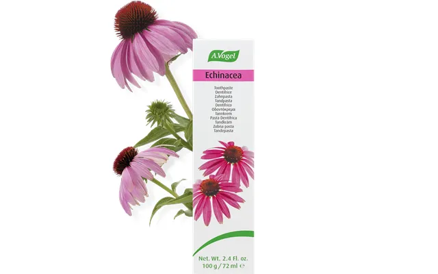 Echinacea Tandpasta - 100g