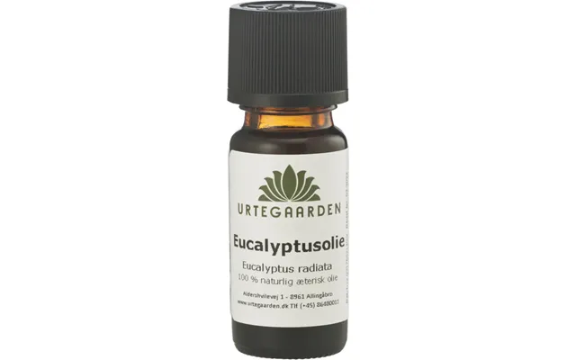 Eucalyptusolie Æterisk Olie - 10ml