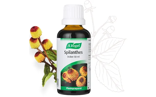 Spilanthes Mundskyl - 50ml