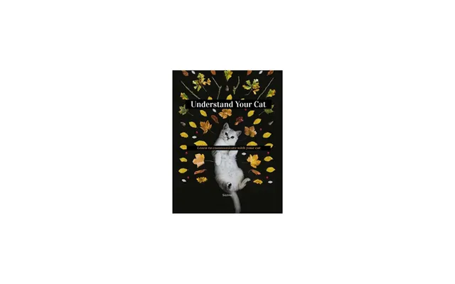 Understand Your Cat - Learn To Communicate With Your Cat