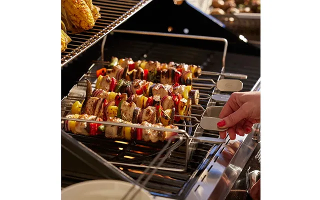 Grillspyd Med Holder