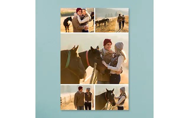 Alu Poster 60 X 90