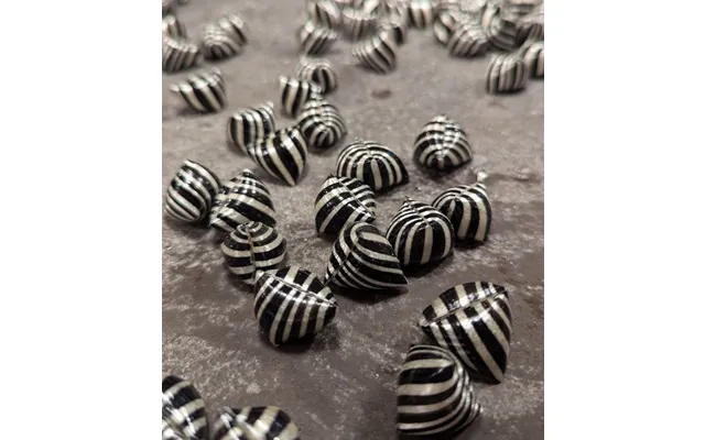 Zebra - 250 G