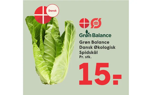 Grøn Balance Dansk Økologisk Spidskål