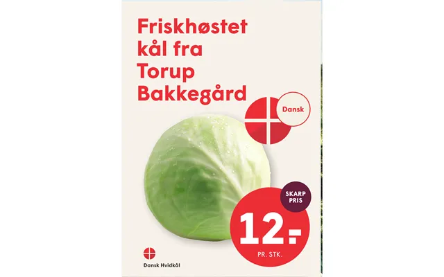 Dansk Hvidkål