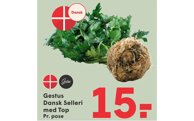 Gestus Dansk Selleri Med Top