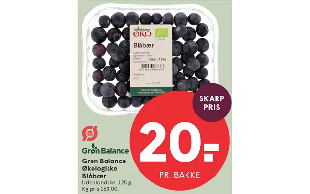 Grøn Balance Økologiske Blåbær