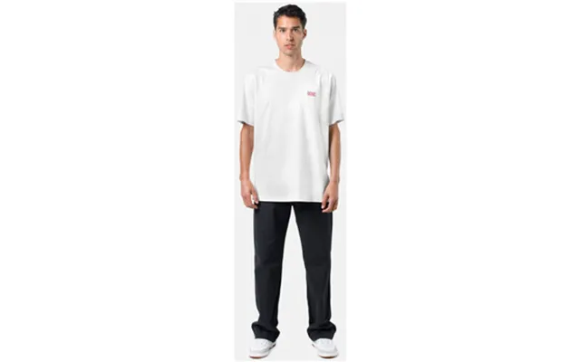 Bukser Dickies Valley Grande Pant