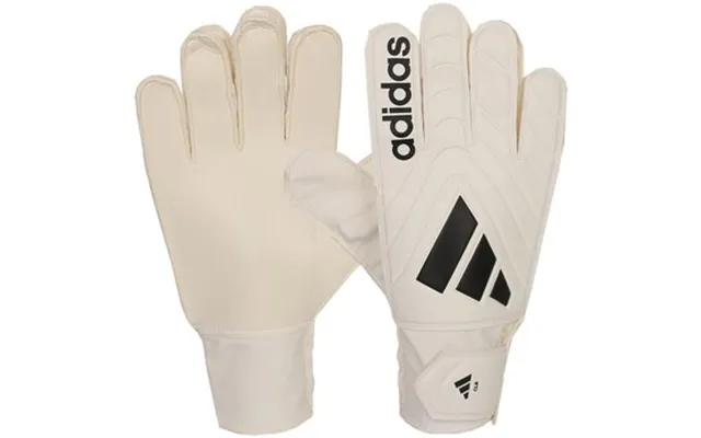 Handsker Adidas Copa Gl Clb