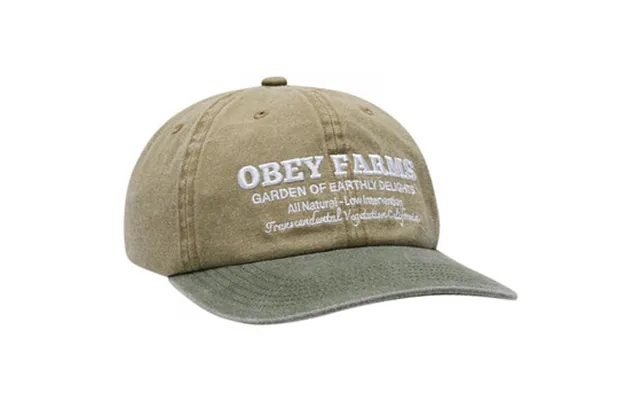 Kasketter Obey Pigment Farms 6 Pnl Strpb