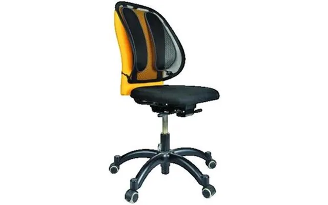 Skriveborde Fellowes Support Dorsal Ergonomique En Maille Respirante
