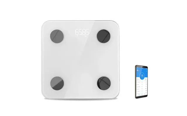 Sportsbuddy Scale