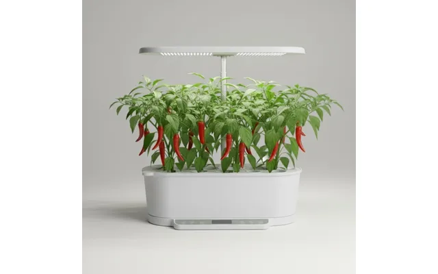 Chili - De Cayenne
