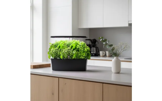 Ecosprout27 - Smart Indendørs Køkkenhave