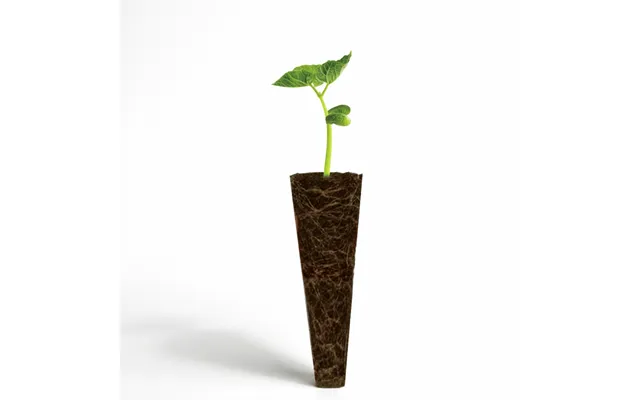 Gro Svamp Til Ecosprout36