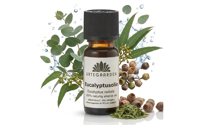 Eucalyptusolie 10 Ml