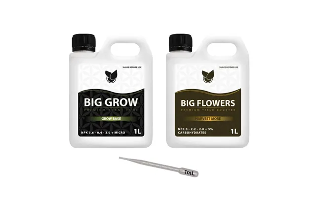 Big Plant Science - Big Flower