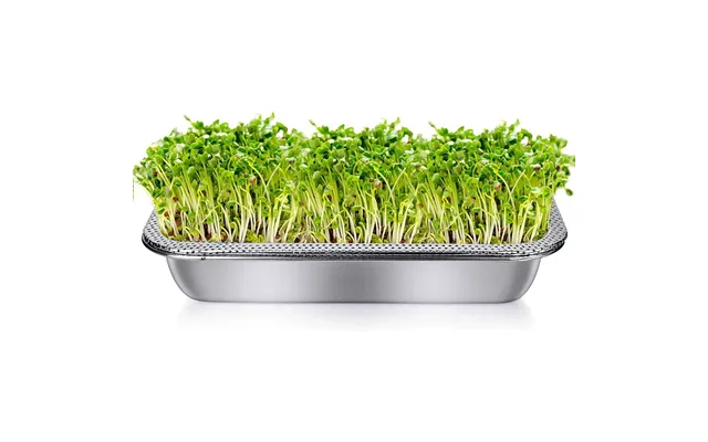 Microgreens Spirebakke - Rustfrit Stål