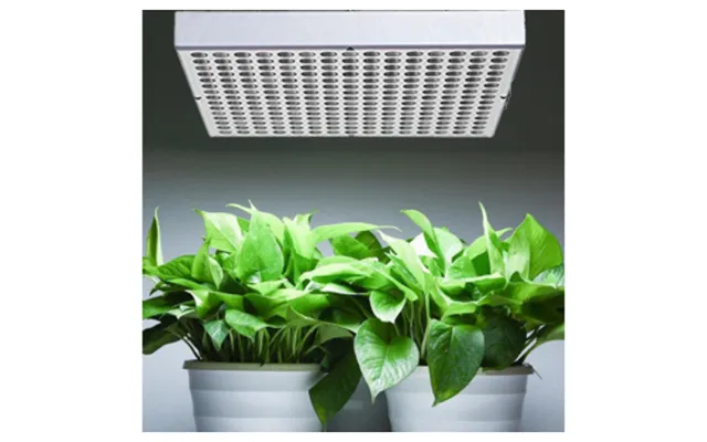 Vækst Lys Led Firkantet Pendel 40w 60 Ip20