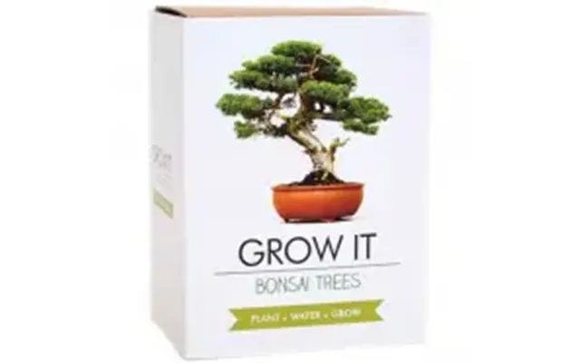 Gift Republic Grow It Kit Bonsai Trees Træ