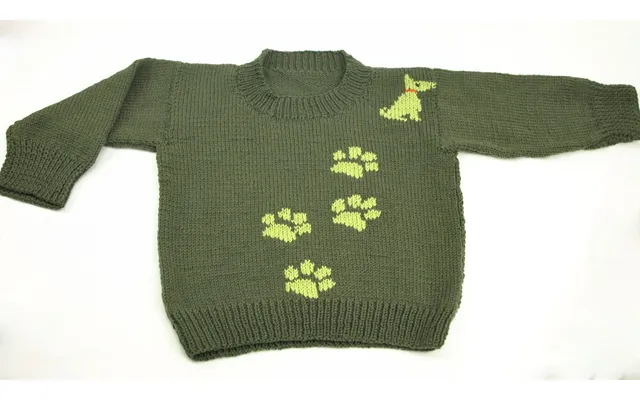 Barnesweater Med Hundepoter Og Familiens Hund - Leg Med Maskesting