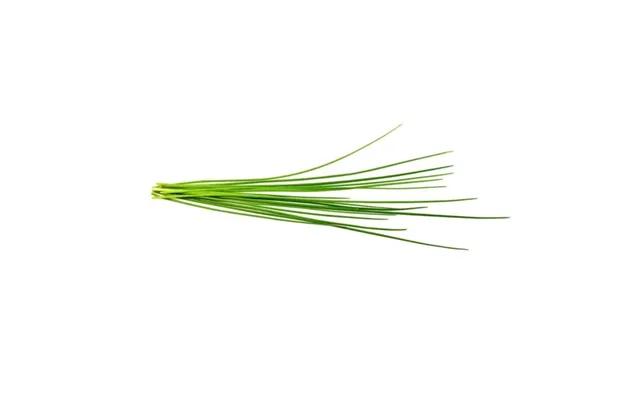 Click & Grow Smart Garden Refill 3-pak - Purløg Sgr38x3