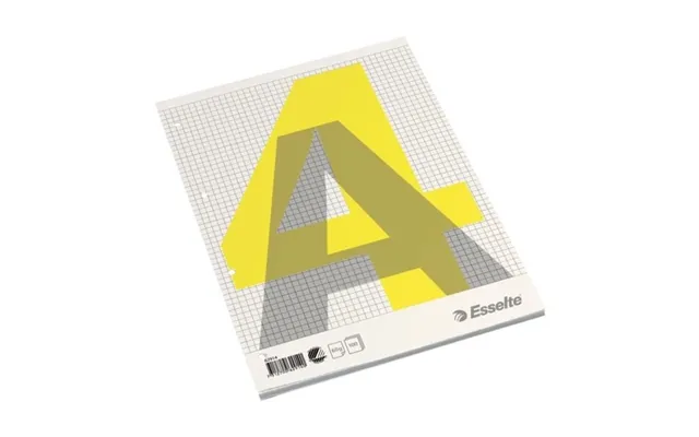 Esselte Kollegieblock A4 100 Ark Rutat
