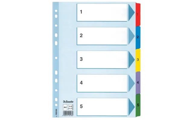 Esselte Register Mylar A4 1-5