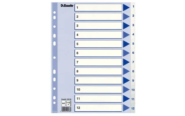 Esselte Register Non-stop A4 1-12