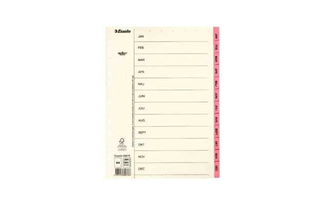 Esselte Register Servo A4 Jan-dec Rosa