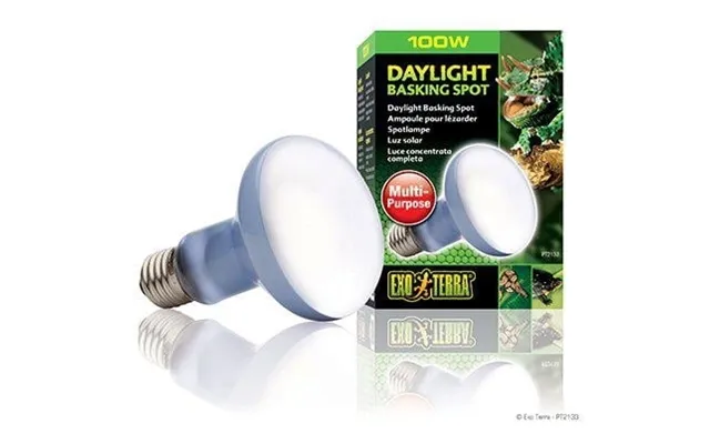 Exoterra Dagslys- 100w R25 E27 Grøn - 220.2730