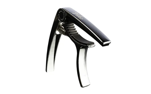 Kisai Ziko Capo