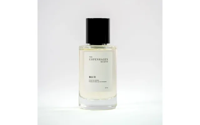 Parfume Inspireret Af Bleu De Chanel - 50 Ml