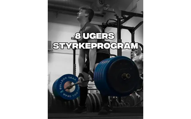 Styrkeprogram - Normalt 300 Kr