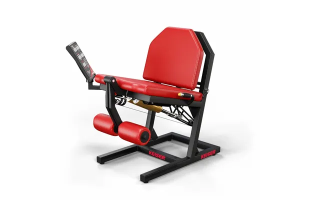 Keiser Air300 Leg Extension