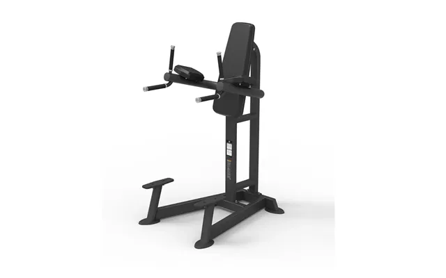 Spirit Leg Raise Dip