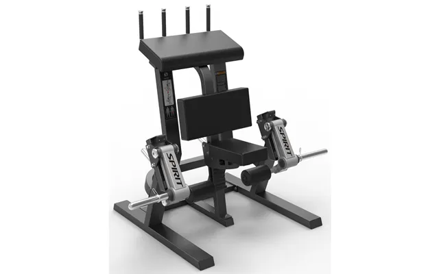 Spirit Pl Standing Leg Curl