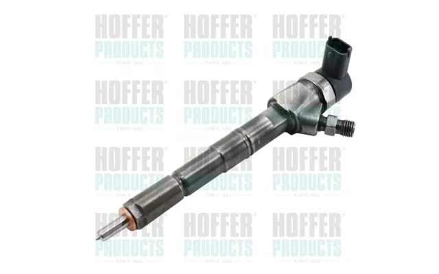 Indsprøjtningsdyse Hoffer H74078r