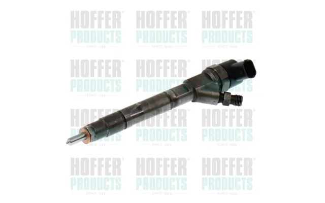 Indsprøjtningsdyse Hoffer H74197r