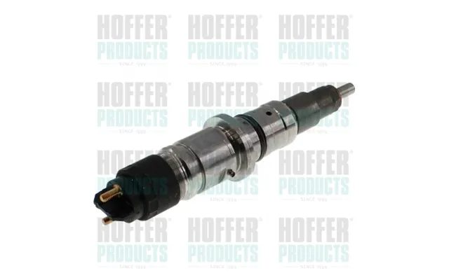 Indsprøjtningsdyse Hoffer H74205r