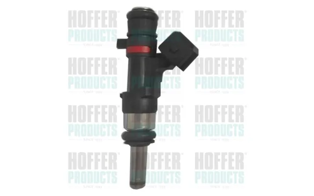 Indsprøjtningsventil Hoffer H75114123