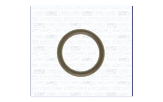 Pakning - Indsugningsmanifold Ajusa 16056800