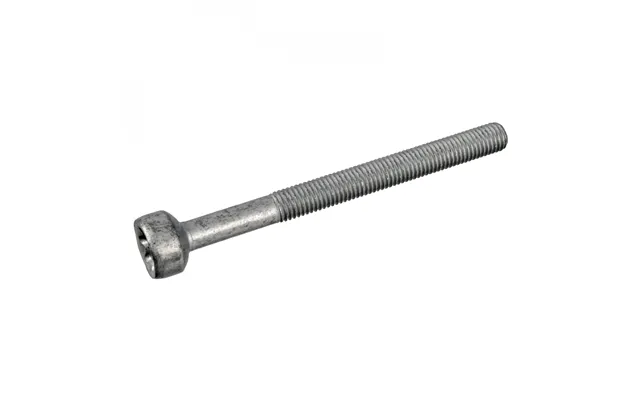 Skrue - Indsprøjtningsdyseholder Febi Bilstein 172930